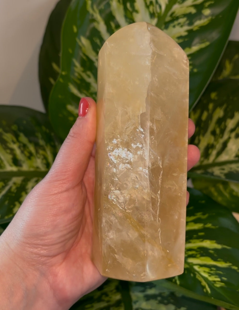Golden healer/ Limoniet kwarts toren