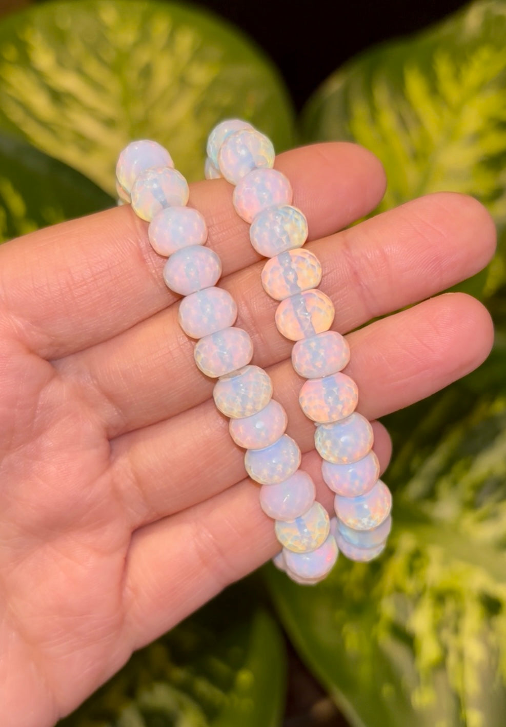 Opaliet Facet geslepen armband 8mm