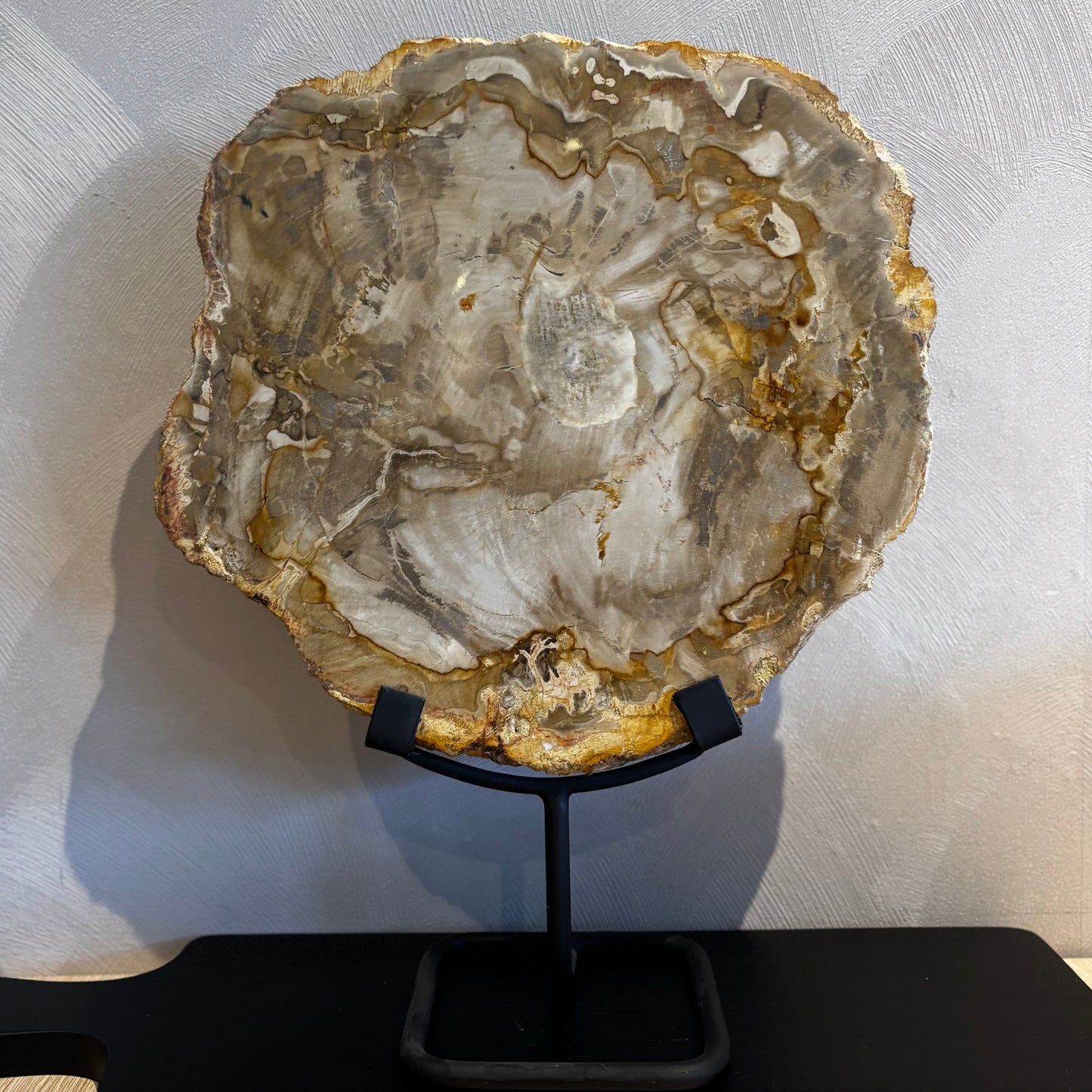 Versteend hout op standaard