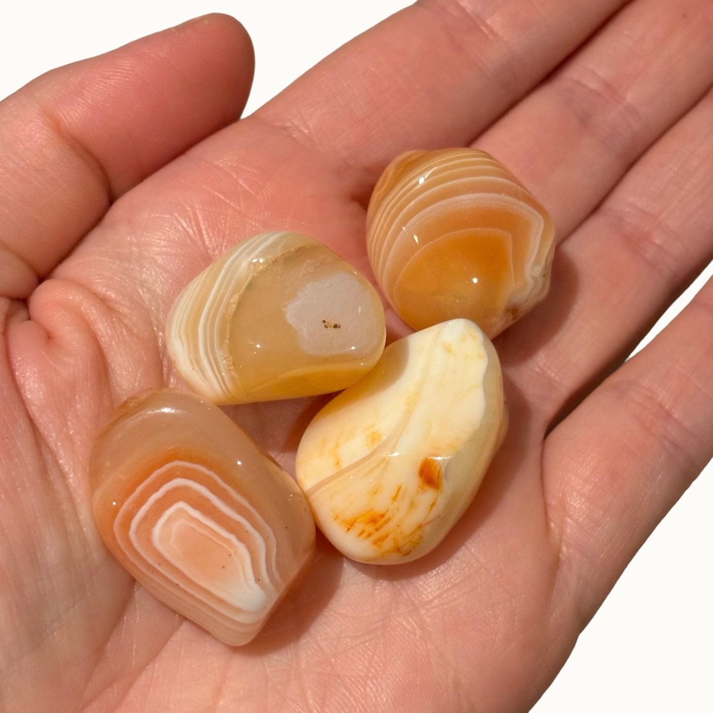 Oranje/roze chalcedoon