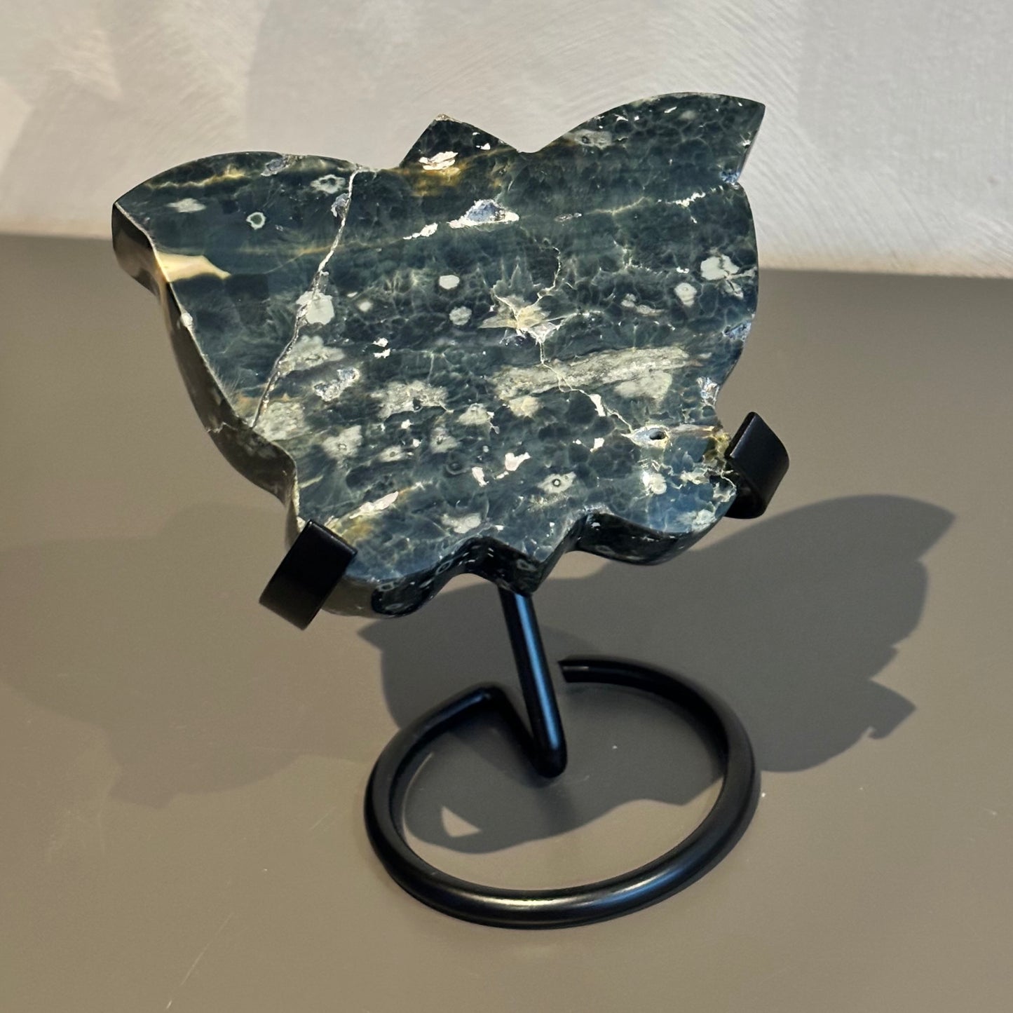 Oceaan jaspis vlinder 82