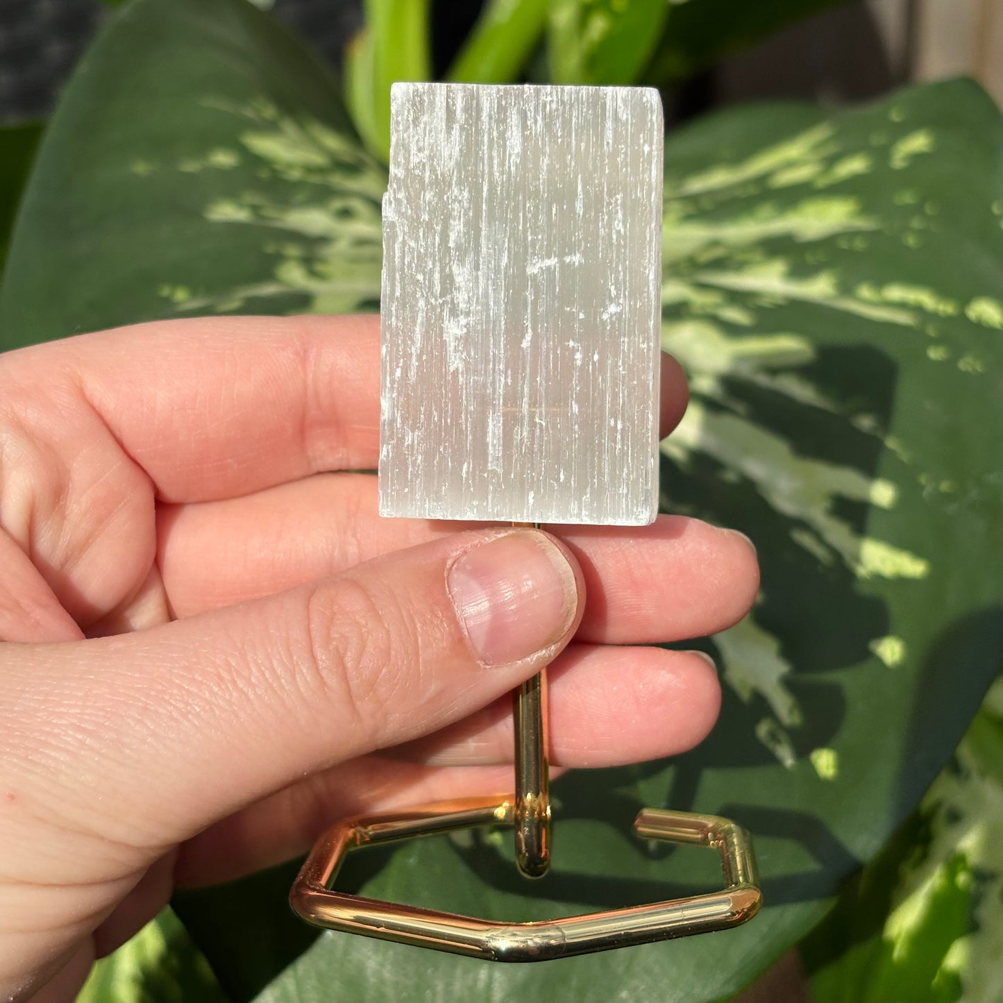 Seleniet mini op goude standaard