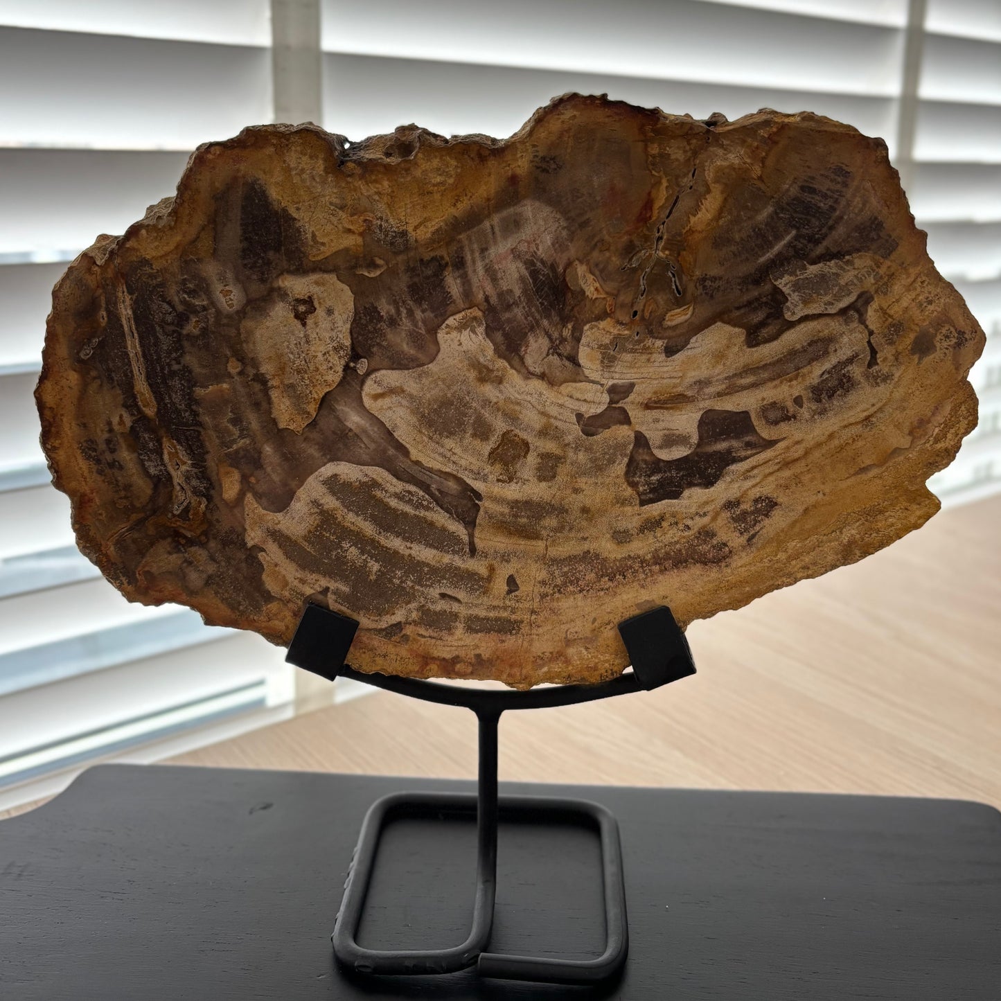 Versteend hout op standaard #84