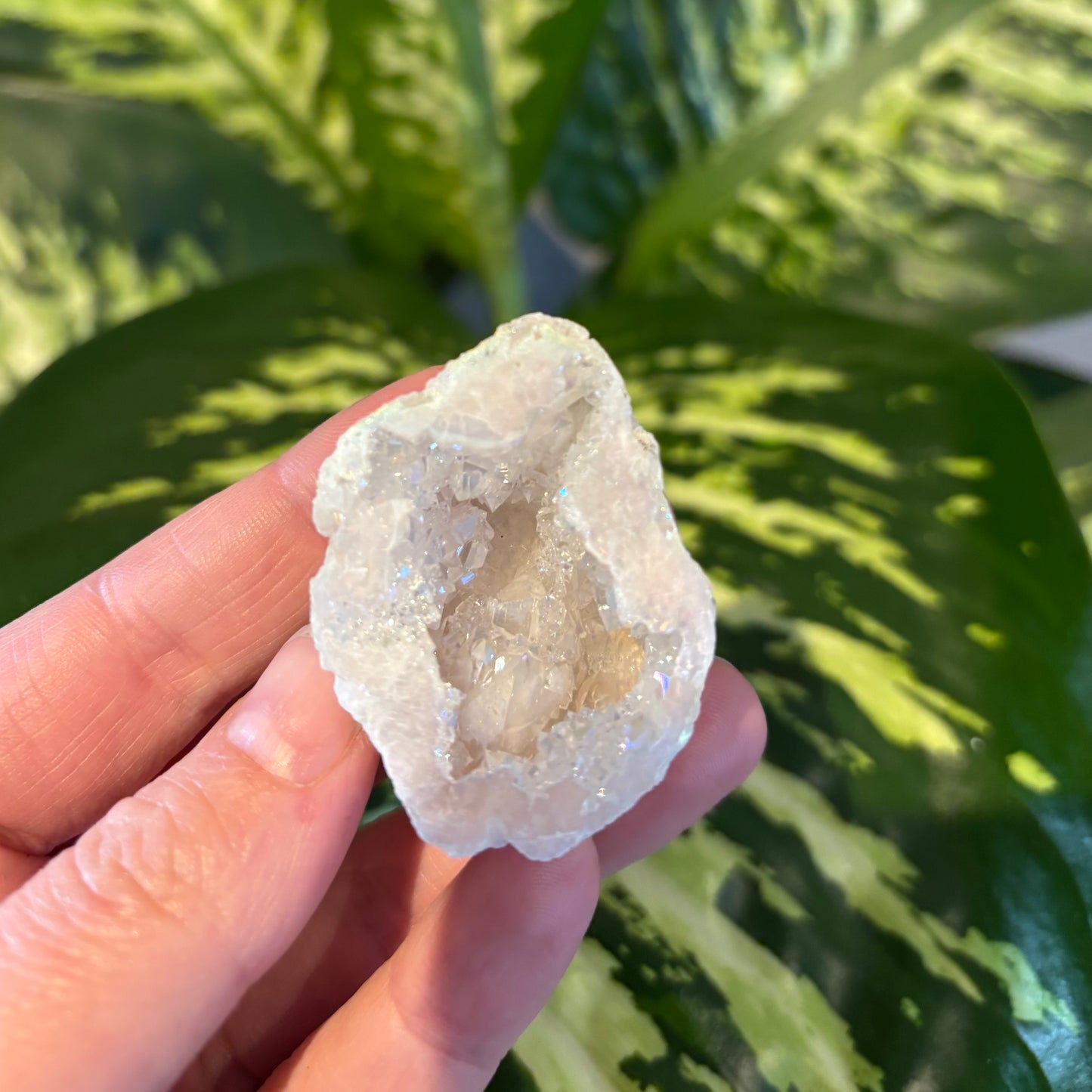 Quartz geode wit coated