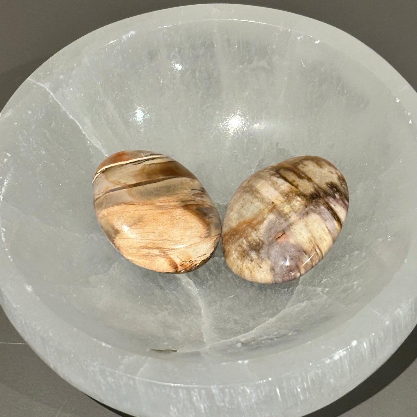 Versteend hout trommelsteen