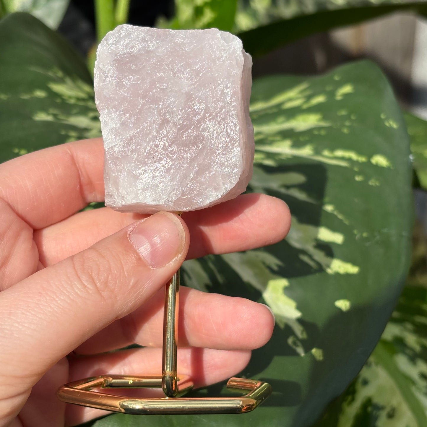 Rozenkwarts mini op goude standaard