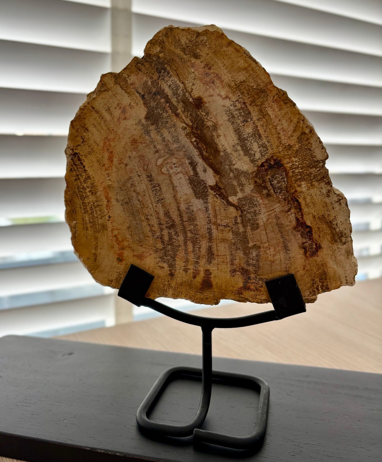 Versteend hout op standaard #85