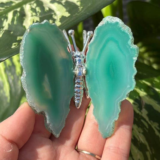 Agaat vlinder groen