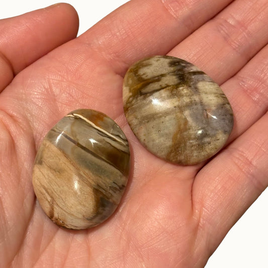 Versteend hout trommelsteen