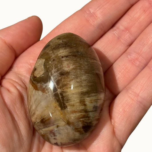 Versteend hout eivorm